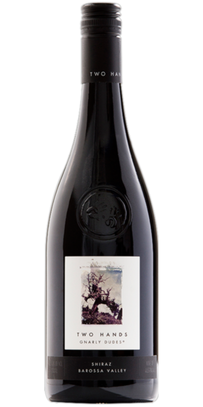 Two Hands Gnarly Dudes Shiraz 750ml Bayfields Liquor Superstore